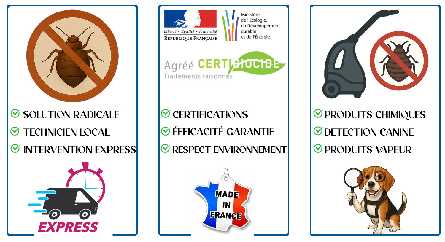 Punaises de Lit Champigny sur marne 94500