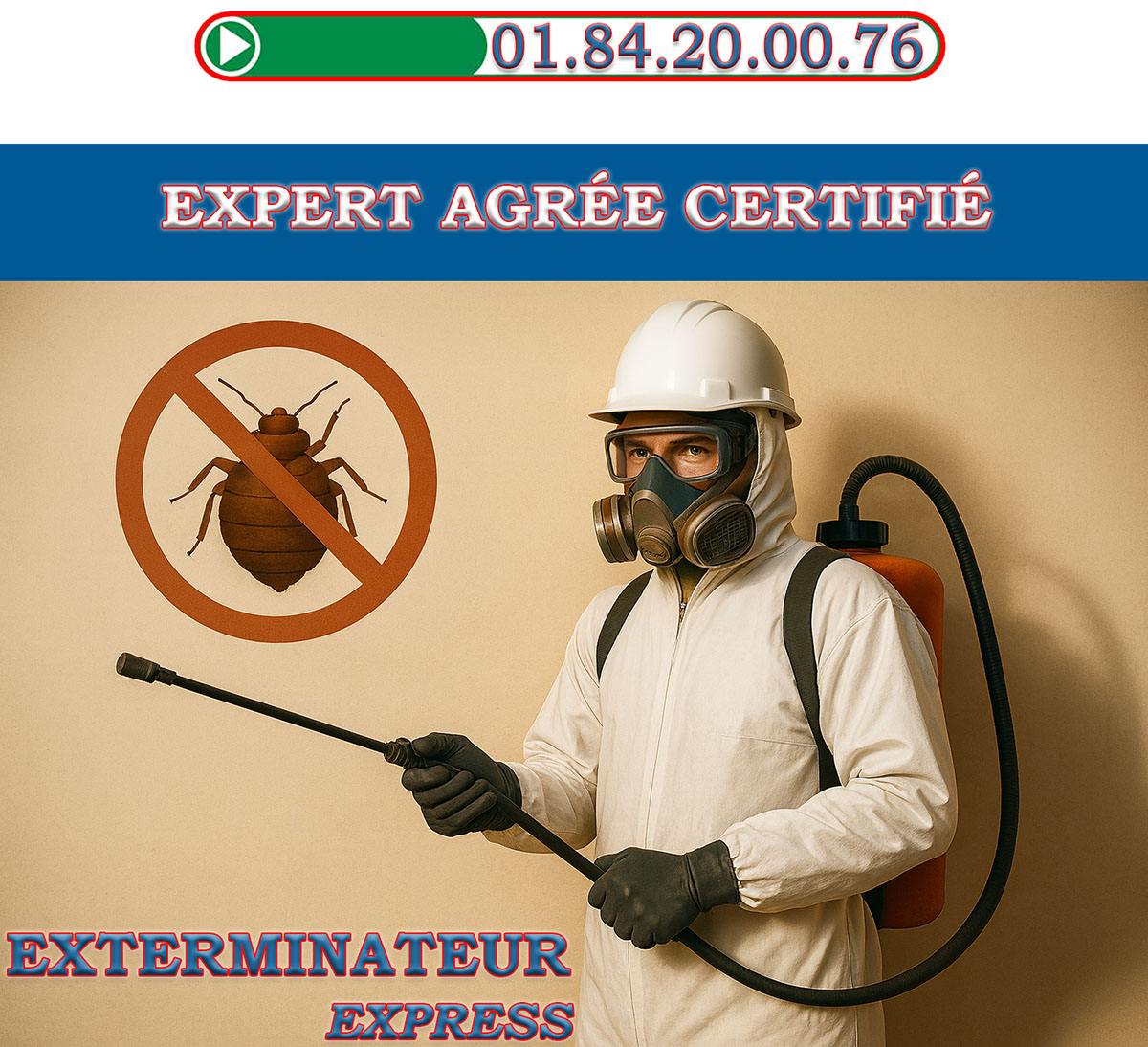 Punaises de Lit Cachan 94230